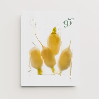 #33 Du bocal à la fermentation
